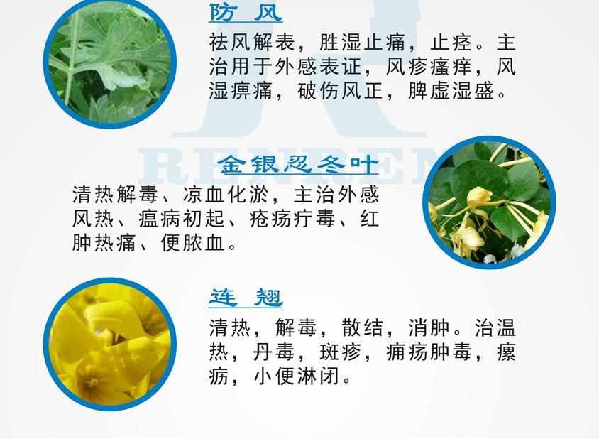 感冒解毒顆粒（成人）頁(yè)面（新）1_03.png
