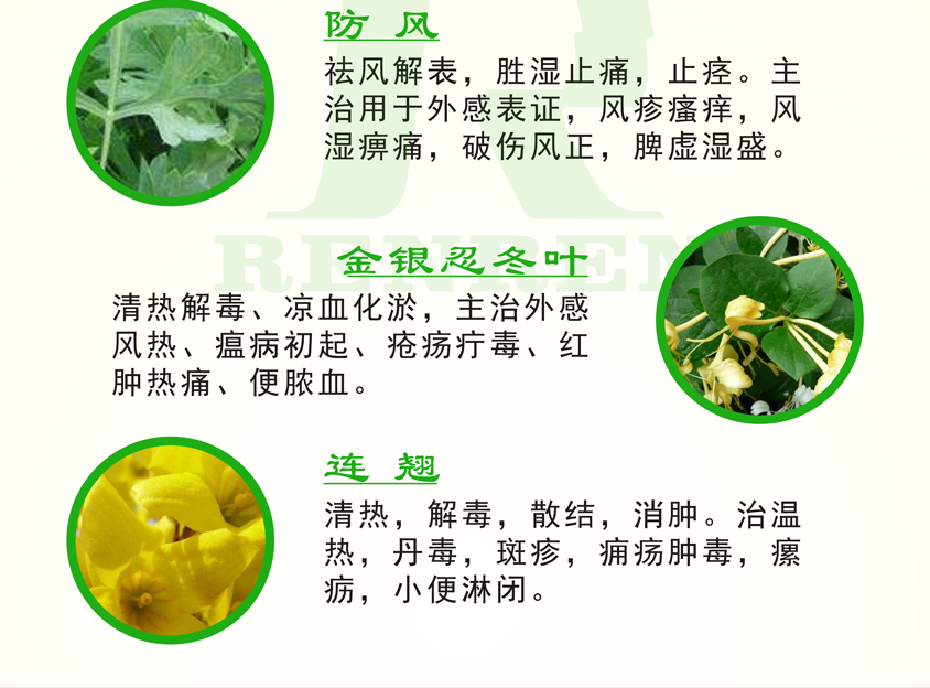 感冒解毒顆粒（兒童）頁(yè)面（新）1--_03.png